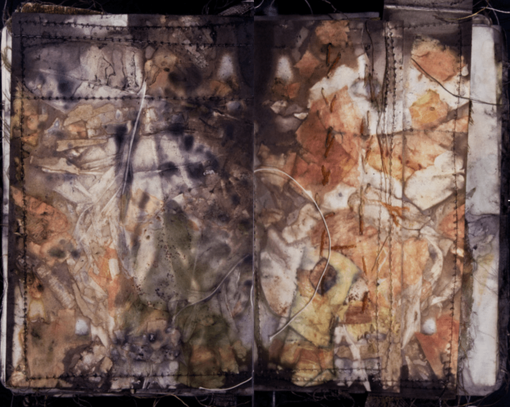 Fall Artist Feature: India Flint — Brooklyn Art Library / The